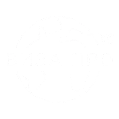 Визовый центр «Виза Про» – официальный логотип